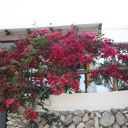 La Pitiusa Agroturismo Sant Miquel de Balansat