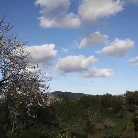La Pitiusa Agroturismo